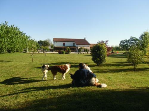 Agroturismo Il Podere