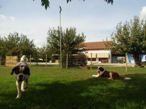 Agroturismo Il Podere