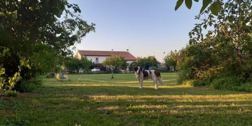 Agroturismo Il Podere