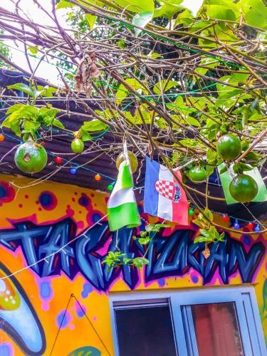 Ciko Hostel Farallon Panama