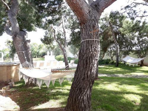 Apartamento Giardino Terranostra