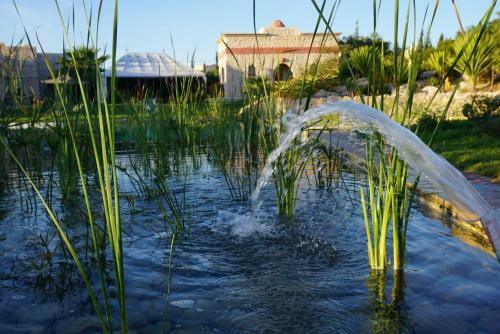 Bed & Breakfast Douar Noujoum