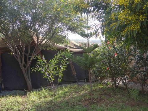 Bed & Breakfast Douar Noujoum