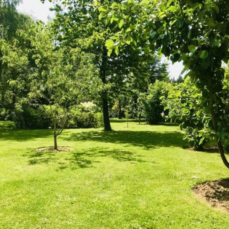 Bed & Breakfast Les 3 Tilleuls