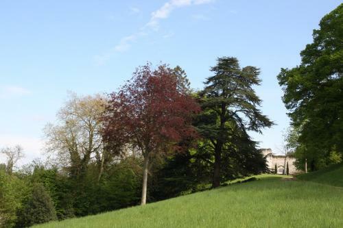 Aux Grilles Du Ch�teau