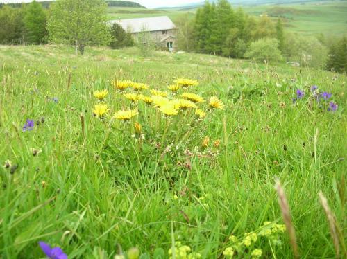 Bed & Breakfast Bastides Du Mezenc