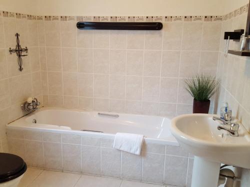 Hostal Lali's Guesthouse