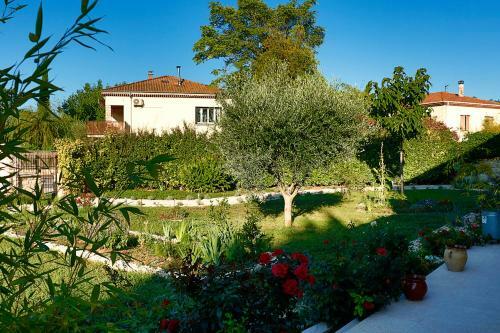 Bed & Breakfast Le Jaccaranda