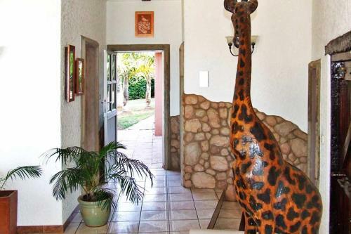 Hostal Stephan's Guest House