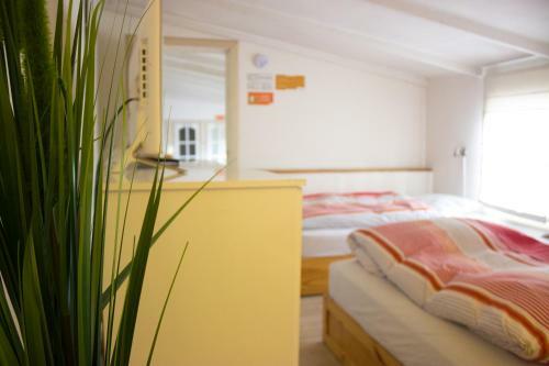 Albergue Onkel Inn