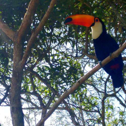 Hostal Pousada Tucano Do Cuiab�