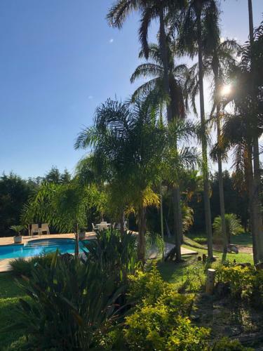 Espa�o Sorrentino's