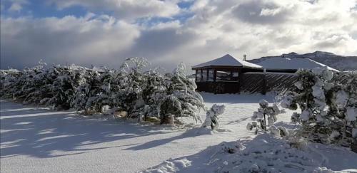 Lodge Caba�as Kauken