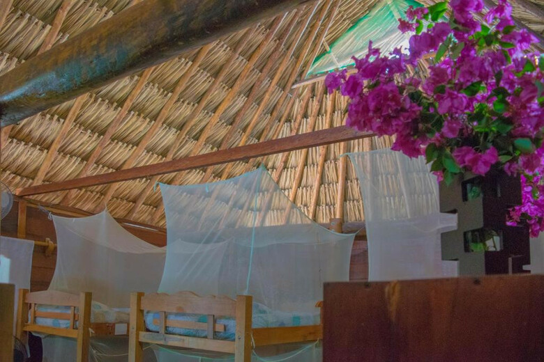 Hostal Primaluna Beach Hostel