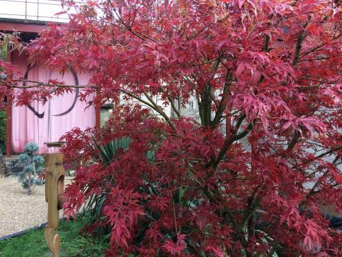 Bed & Breakfast Minshuku Chambres D'h�tes Japonaises