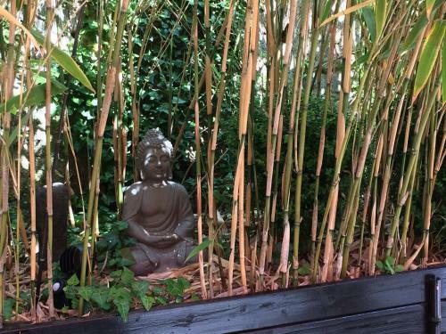 Bed & Breakfast Minshuku Chambres D'h�tes Japonaises