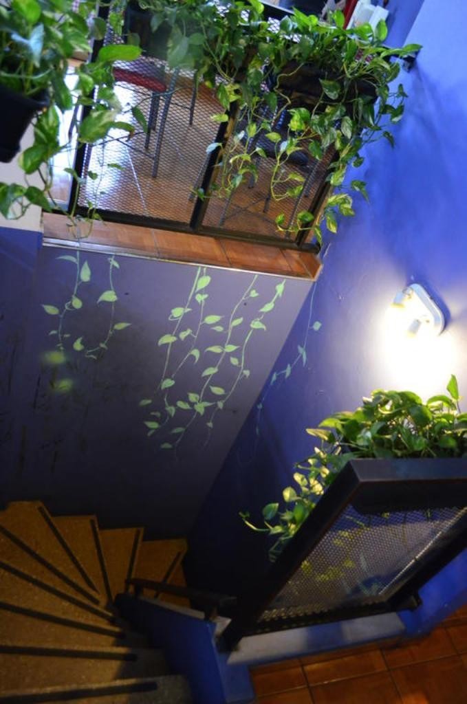 Hostal Garden House