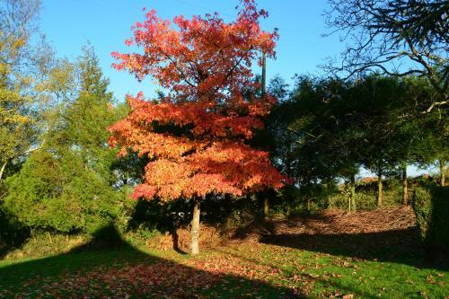 Bed & Breakfast La Fretissiere