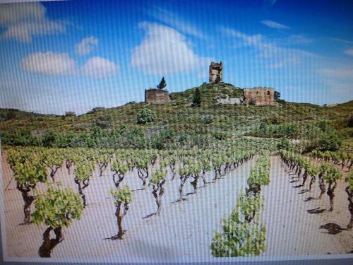Le Clos Marie