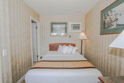 Motel Canadas Best Value Inn Chinook Station