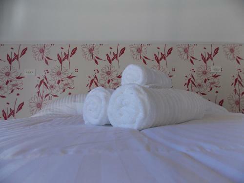 Hostal Pousada Villa Sao Bento