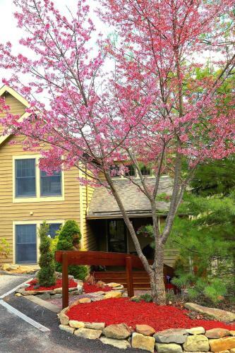 Skiview Pocono Townhouse Rental At Camelback