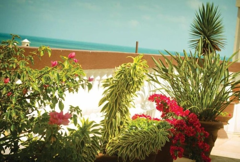 Algarve Praia Hotel