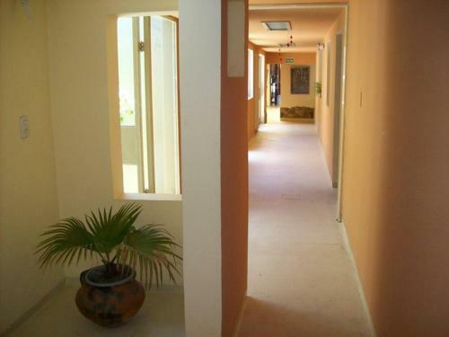 Hostal Club Hostel