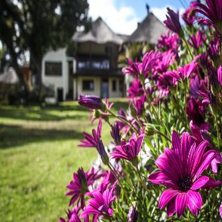 Hotel Winelands Villa Guesthouse & Cottages
