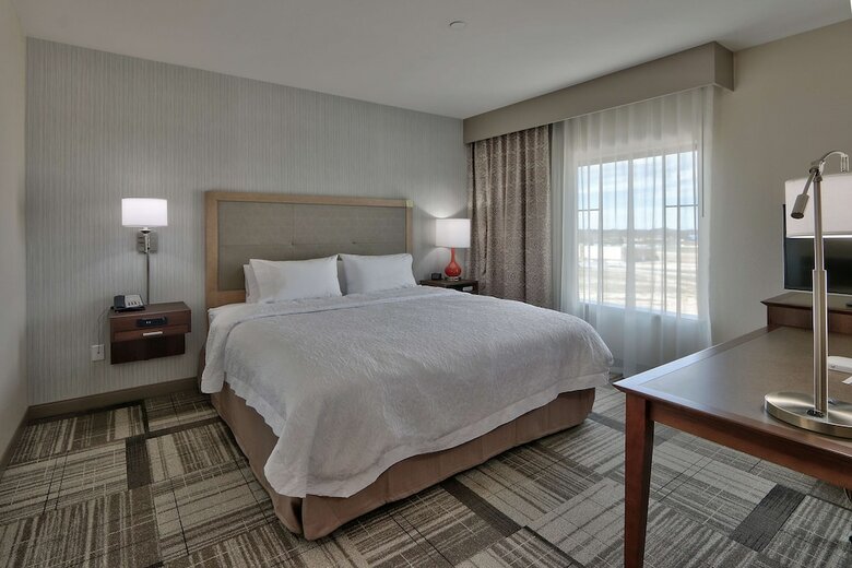 Hotel Hampton Inn & Suites Artesia, Nm