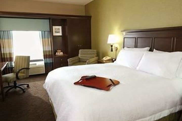 Hotel Hampton Inn & Suites Artesia, Nm