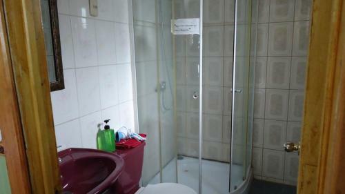 Hostal Patagonico