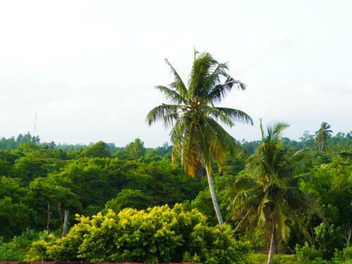 Hostal Kadolana Villa