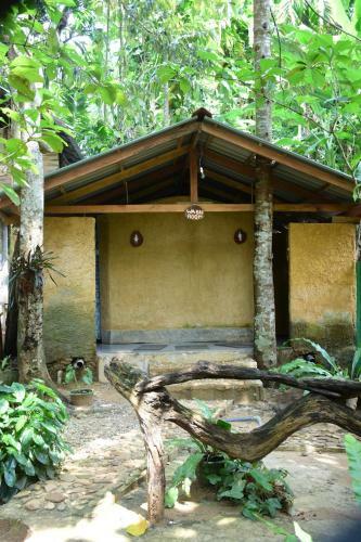 Kumbuk Sevena Adventure Camp