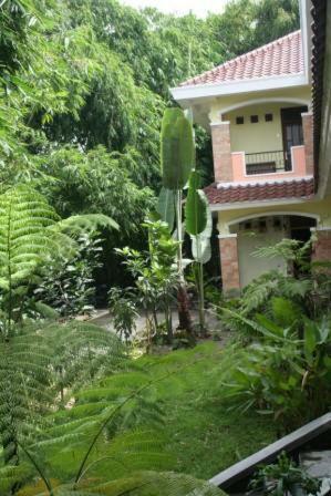Hostal Villa Alicia
