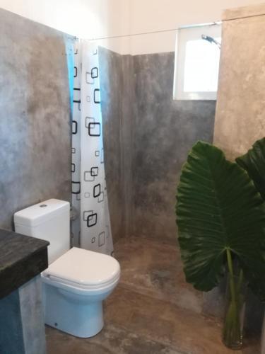Hostal Vesta Beach