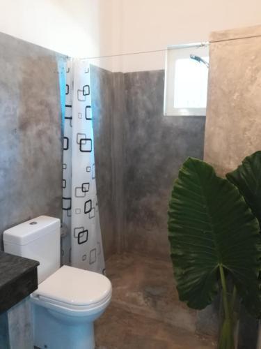 Hostal Vesta Beach