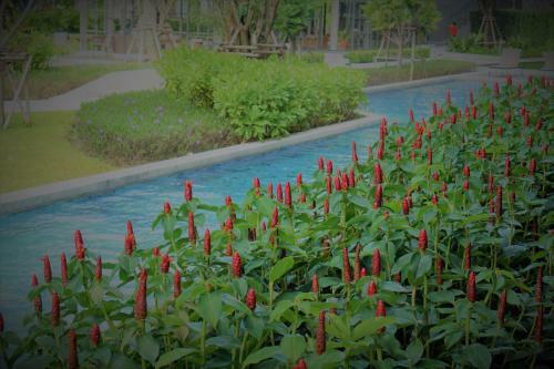 Apartamento Day Dd At Rain Cha-am-hua-hin