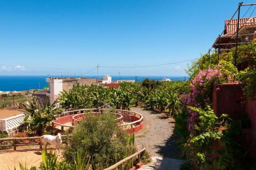 Traditional Country Villa Arucas