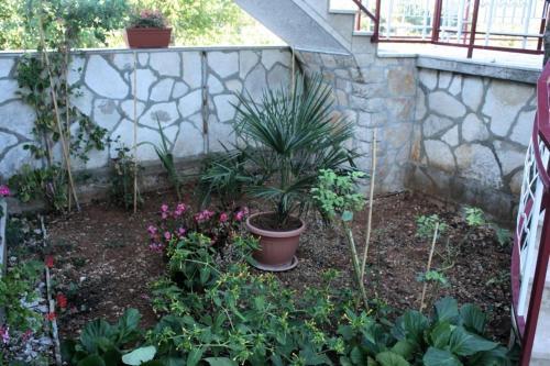 Apartment Vrsar 6944a
