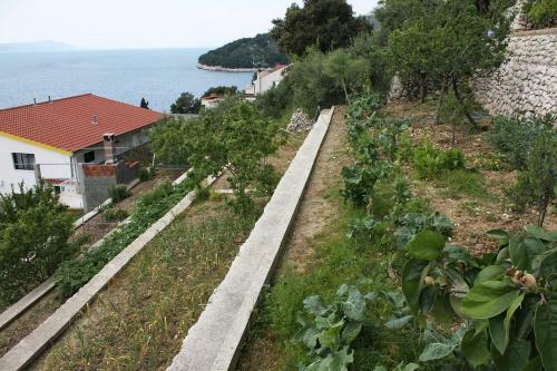 Hostal Studio Drvenik Gornja Vala 4890d