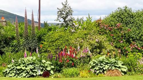 Carramore Lodge Bed And Breakfast