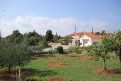 Hostal Studio Susica 8265b
