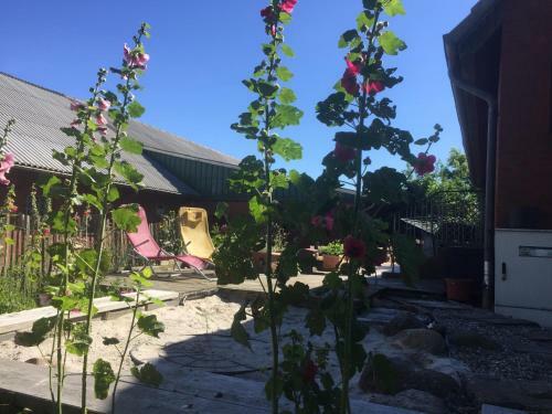 Peanuts Hostel & Meer