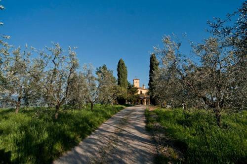 Agroturismo Il Torrino Del Povile