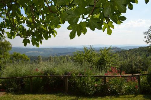 Agroturismo Casa Ercole Farm Stay