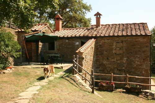 Villa Tribbiano