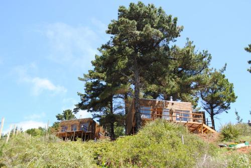 Lodge Caba�as Carilafquen
