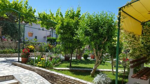 Apartment Paradiso