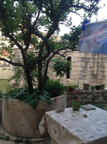 Residencia Rooms Denis